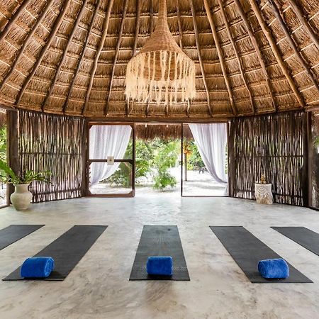 Jungle Lodge Boutique Hotel - Adults Only Chemuyil ภายนอก รูปภาพ