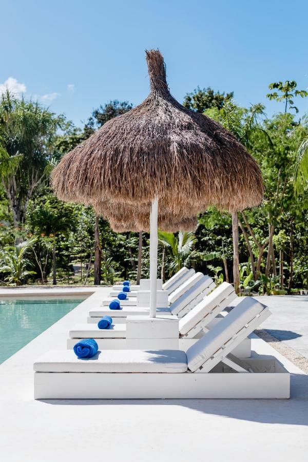 Jungle Lodge Boutique Hotel - Adults Only Chemuyil ภายนอก รูปภาพ
