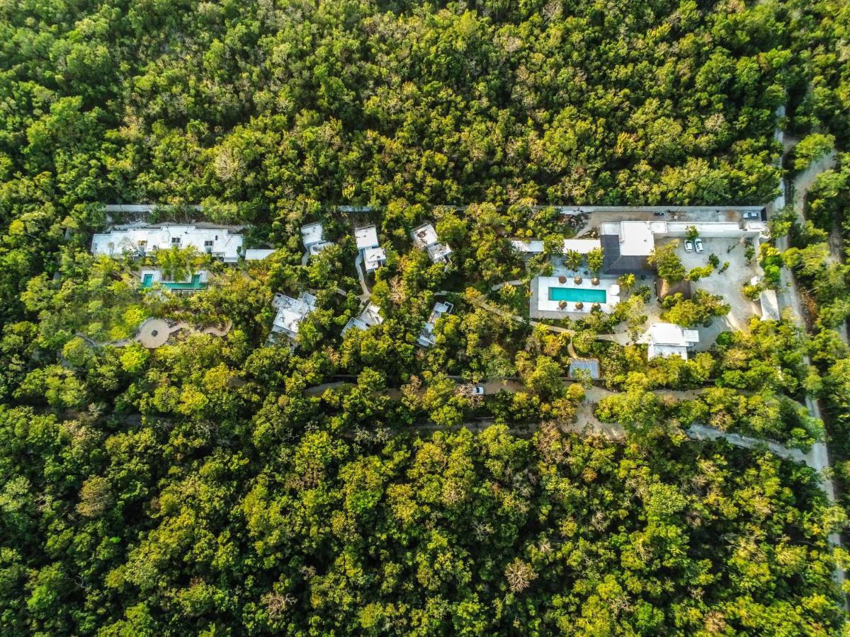 Jungle Lodge Boutique Hotel - Adults Only Chemuyil ภายนอก รูปภาพ
