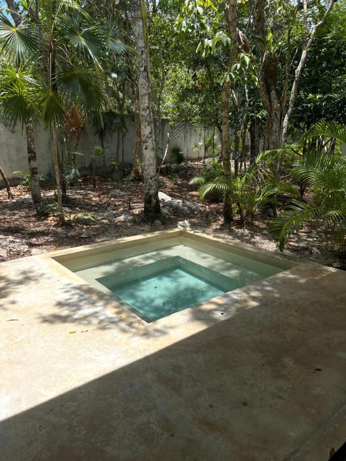 Jungle Lodge Boutique Hotel - Adults Only Chemuyil ภายนอก รูปภาพ